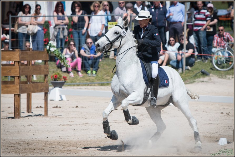 Pferd International 159
